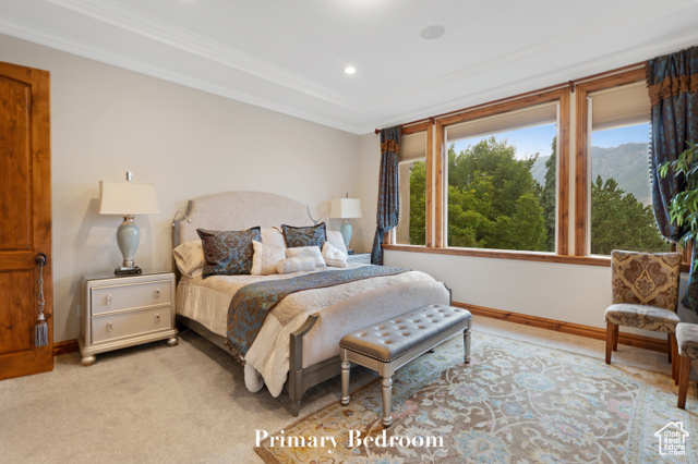 Photo 30 for MLS #2100141 at 522 N Pfeifferhorn Dr