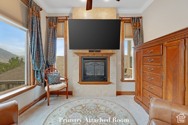 Photo 32 for MLS #2100141 at 522 N Pfeifferhorn Dr