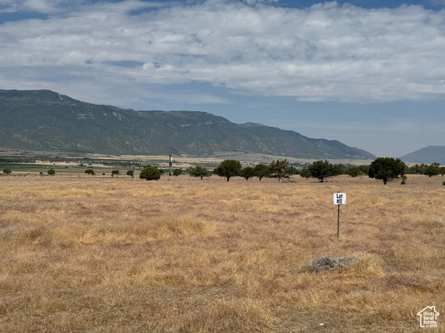 22215 N 2221 E, Fountain Green UT 84632