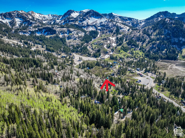 Photo 11 for MLS #2100187 at 8329 S Brighton Loop Rd