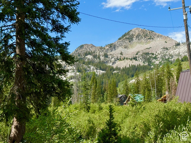 Photo 9 for MLS #2100187 at 8329 S Brighton Loop Rd