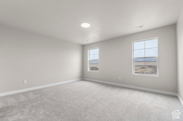 Photo 11 for MLS #2100196 at 8848 S Veiled Peak Rd