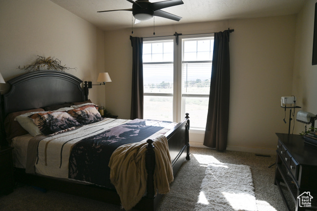 Photo 36 for MLS #2100332 at 38150 W 4690 South