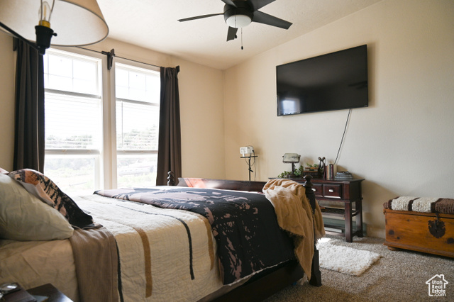 Photo 38 for MLS #2100332 at 38150 W 4690 South
