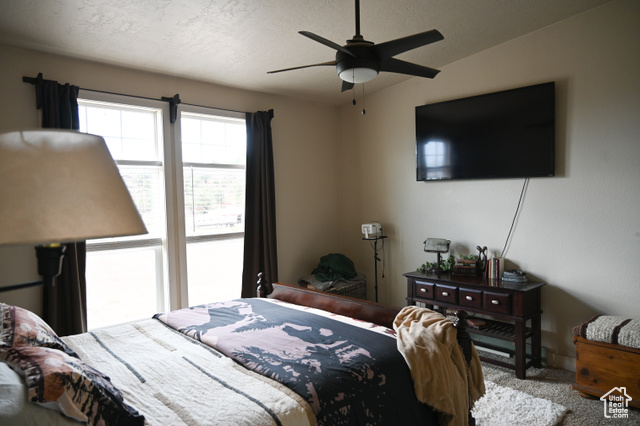 Photo 33 for MLS #2100332 at 38150 W 4690 South