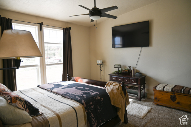 Photo 37 for MLS #2100332 at 38150 W 4690 South