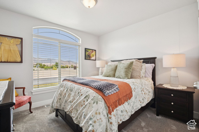 Photo 15 for MLS #2100441 at 393 S Roadster Ln