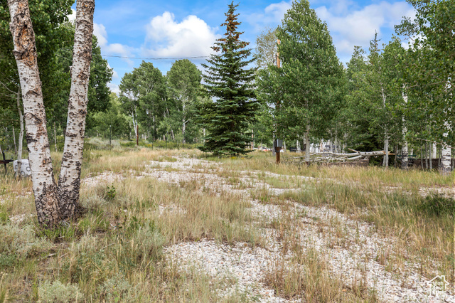 , Fish Lake UT 84701