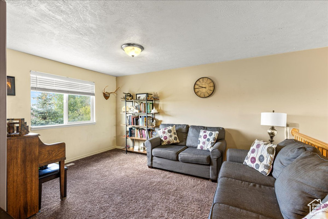 Photo 22 for MLS #2100526 at 231 E Box Elder Dr