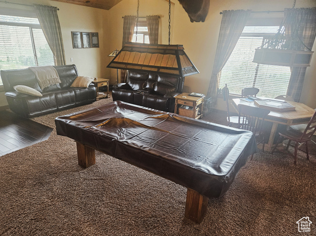 Photo 61 for MLS #2100530 at 10286 S 40750 West
