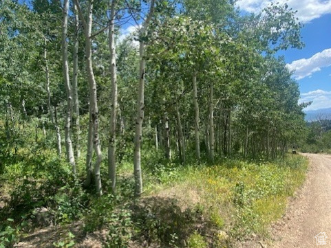 1968  ELK, Coalville UT 84017