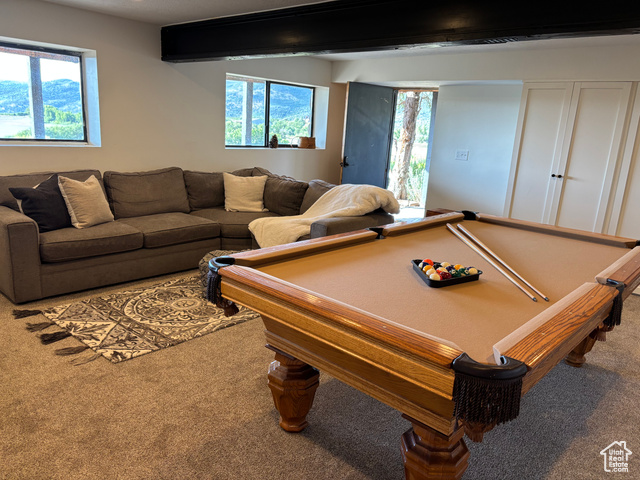 Photo 55 for MLS #2100668 at 10088 E Ridge Pine Dr #1199-C