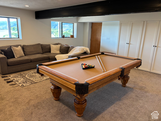 Photo 54 for MLS #2100668 at 10088 E Ridge Pine Dr #1199-C