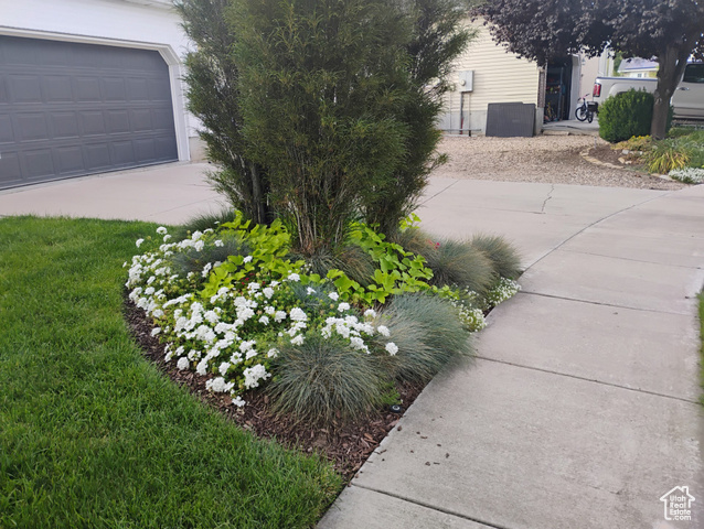 Photo 6 for MLS #2100671 at 1494 S Mica Ln