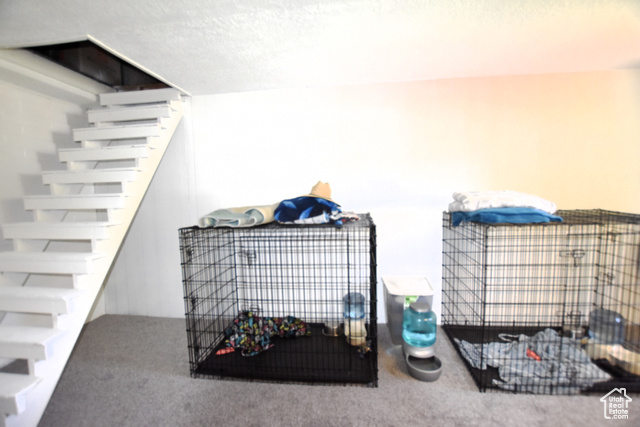 Photo 21 for MLS #2100697 at 806 Valeria Dr