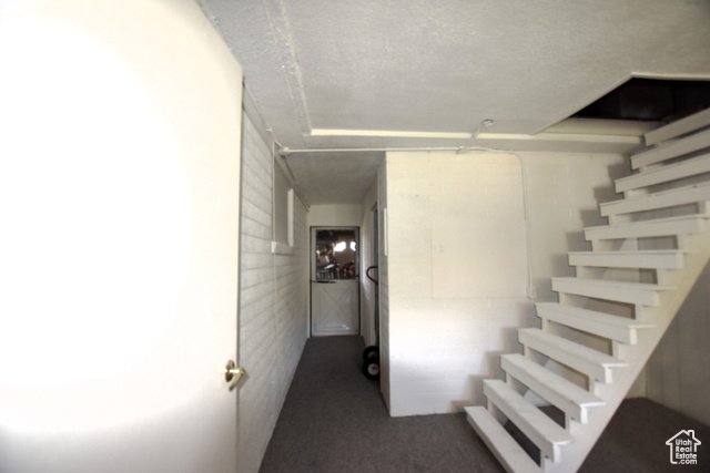 Photo 20 for MLS #2100697 at 806 Valeria Dr
