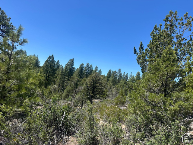 11  PINE ST, Orderville UT 84758