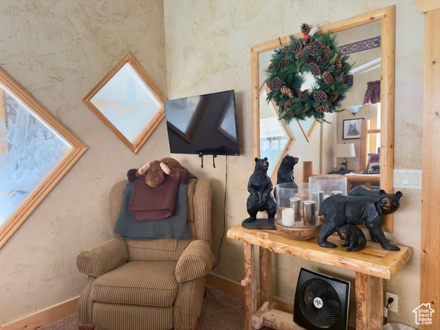 Photo 29 for MLS #2100921 at 2565 S Country Club Dr