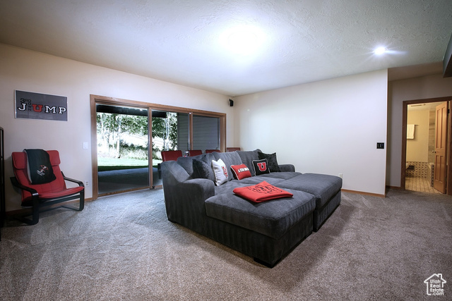 Photo 19 for MLS #2100953 at 3271 Big Spruce Way