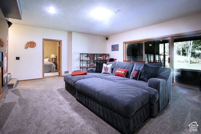 Photo 22 for MLS #2100953 at 3271 Big Spruce Way