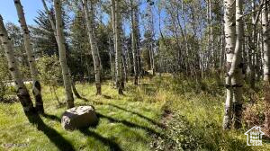 6190 DIAMOND DELL CIR, Kamas UT 84036