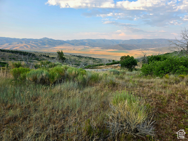 , Indianola UT 84629