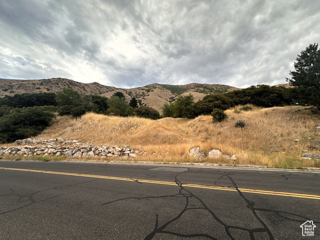 1783  SPRING OAKS DR, Springville UT 84663