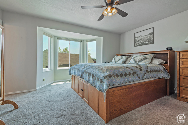 Photo 19 for MLS #2101074 at 8941 S Sun Leaf Dr