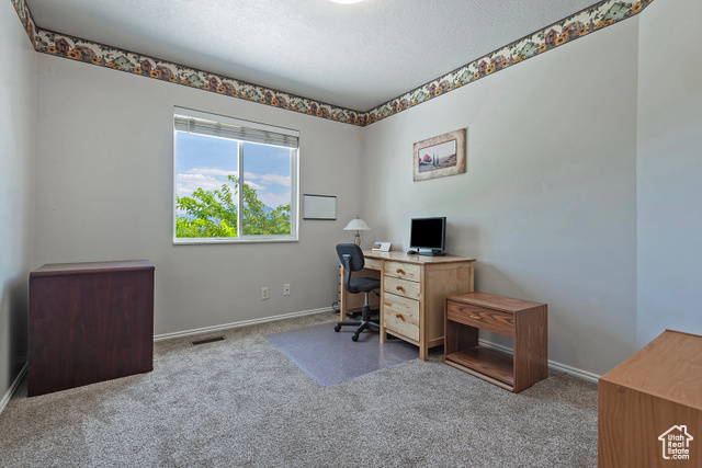Photo 23 for MLS #2101074 at 8941 S Sun Leaf Dr