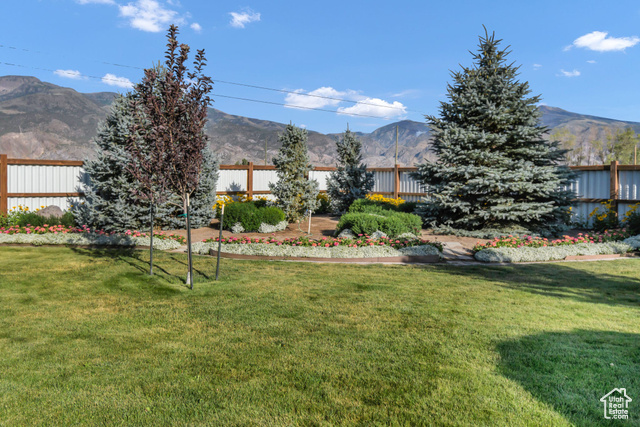 Photo 51 for MLS #2101116 at 1103 N Brooklyn Rd