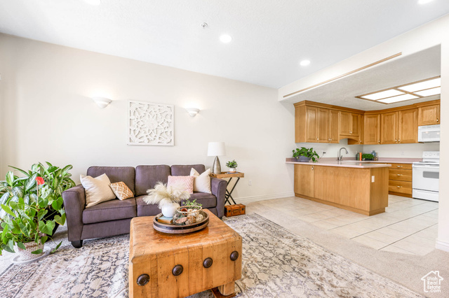 Photo 11 for MLS #2101125 at 11025 S Grapevine Cv #B205