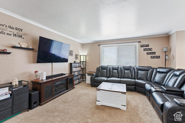 Photo 2 for MLS #2101240 at 4902 S Farah Dr
