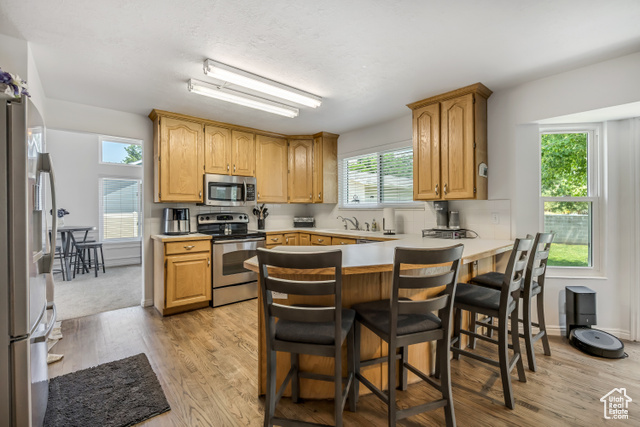 Photo 11 for MLS #2101282 at 11065 S Longdale Cir