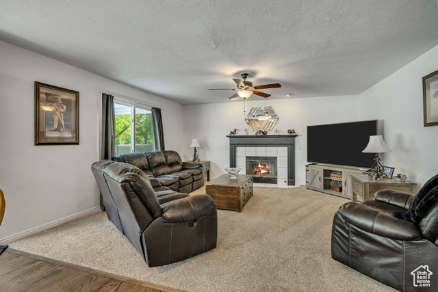 Photo 17 for MLS #2101282 at 11065 S Longdale Cir