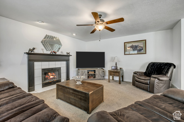 Photo 18 for MLS #2101282 at 11065 S Longdale Cir