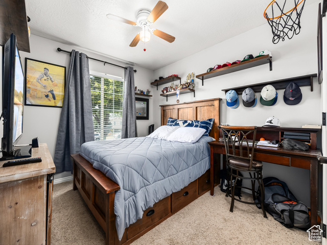 Photo 13 for MLS #2101301 at 1567 S Spur Ct