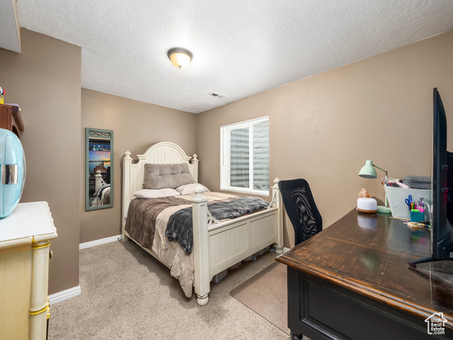 Photo 20 for MLS #2101301 at 1567 S Spur Ct