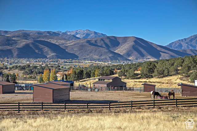Photo 17 for MLS #2101306 at 645 N Red Mountain Ct
