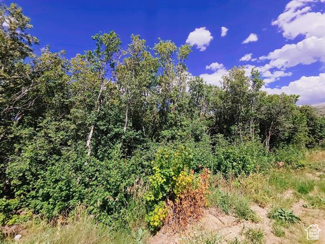 MONASHEE CIR, Lava Hot Springs ID 83246