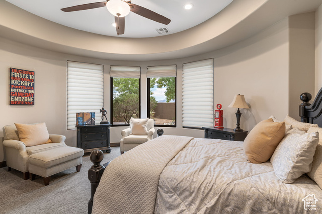 Photo 49 for MLS #2101351 at 2203 W Silver Cloud Dr