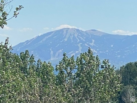 2684 S FOREST MEADOW RD, Coalville UT 84017