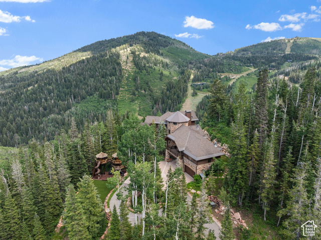 Photo 2 for MLS #2101417 at 35 White Pine Canyon Rd