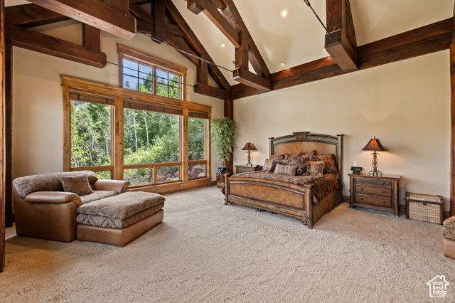 Photo 32 for MLS #2101417 at 35 White Pine Canyon Rd