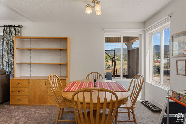 Photo 10 for MLS #2101427 at 872 S 4700 West