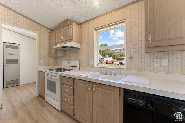 Photo 9 for MLS #2101434 at 184 W Center