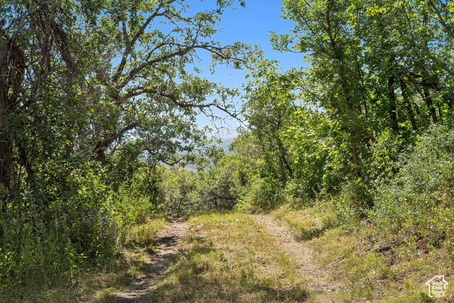 Photo 42 for MLS #2101446 at 1237 Lower Cove Rd