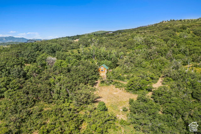 Photo 9 for MLS #2101446 at 1237 Lower Cove Rd