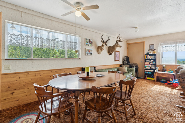 Photo 13 for MLS #2101446 at 1237 Lower Cove Rd
