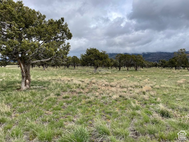 6040 E 10590 N, Spring City UT 84662