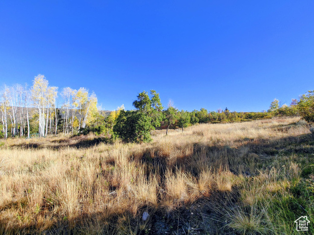 1813 S GREENLEAF RD, Heber City UT 84032